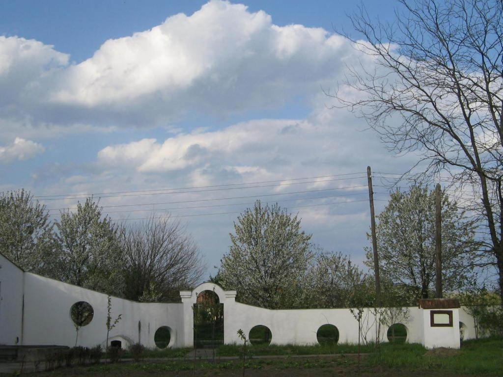 B&B Villa Pipacs Feketic Exterior photo