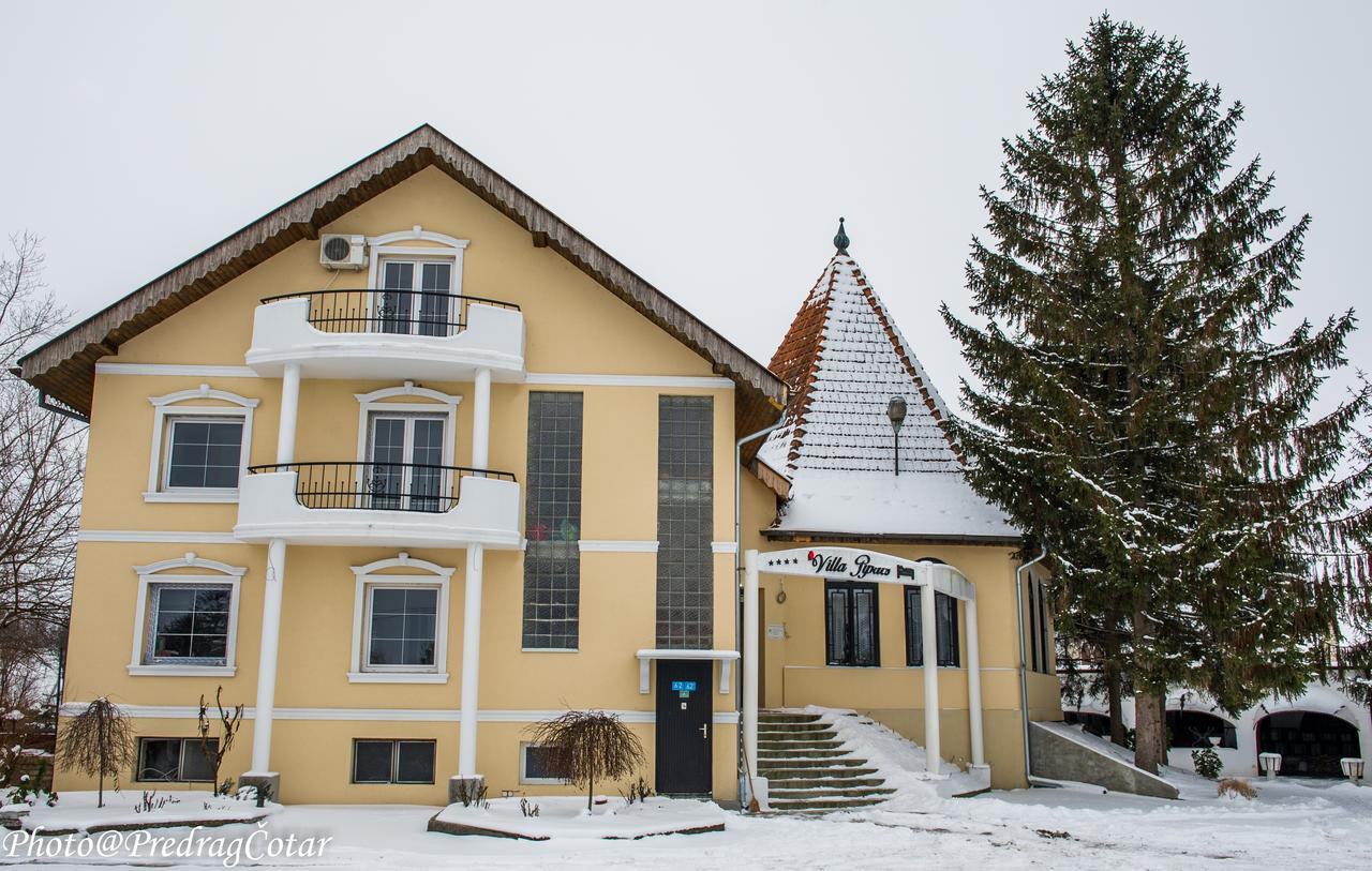 B&B Villa Pipacs Feketic Exterior photo